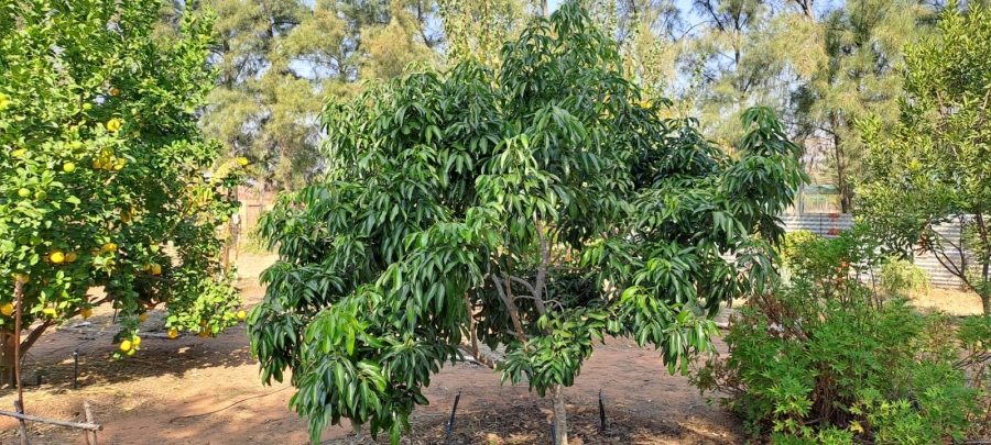 3 Bedroom Property for Sale in Modderfontein A H North West